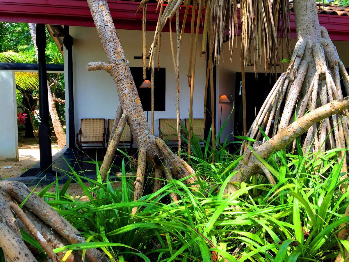 Shehani Beach Bungalow Tangalle Dış mekan fotoğraf
